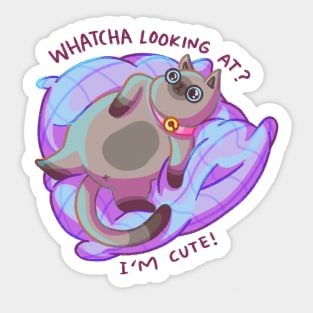 Cute Fat Cat - Whatcha Looking At / I’m cute Sticker